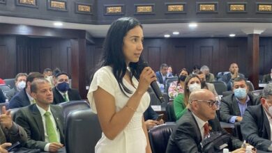 AN prepara ley para permitir mascotas en el Metro y centros comerciales