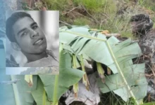 Hallan a un hombre sin vida y oculto bajo ramas en el sur de Anzoátegui