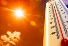 Calor extremo aumenta los riesgos para la salud cerebral en América Latina