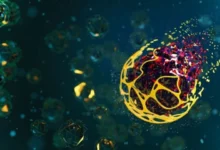Micropartículas de oro y hierro destruyen casi el 50% de las células cancerosas