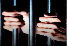 Detienen a dos hombres por robo de vehículos en Guárico