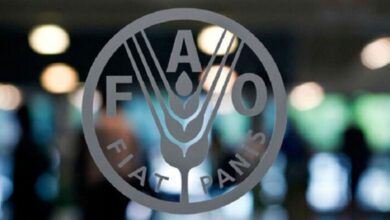 Presidenta (E) Delcy Rodríguez estará en el Foro Mundial de la Alimentación 2026