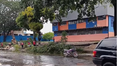 Vientos huracanados y lluvias causan estragos en Valencia