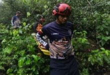 Sobrevivió dos semanas perdido en una montaña de Anzoátegui