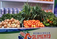 Gobierno lanza el Plan Venezuela Alimenta para reforzar la producción nacional
