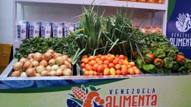 Gobierno lanza el Plan Venezuela Alimenta para reforzar la producción nacional