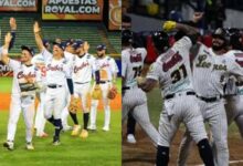 Caribes, Leones y Tiburones se impusieron en los juegos de este viernes